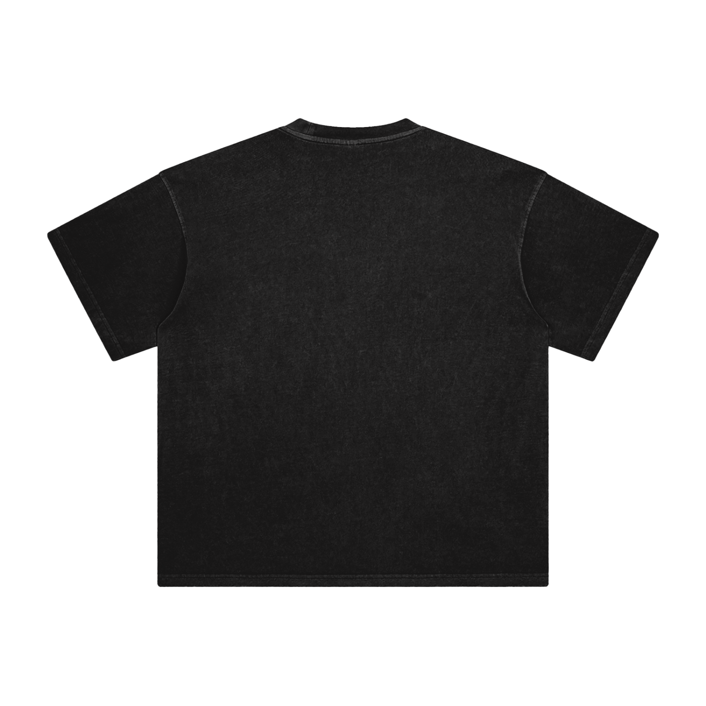 Salem Apothecary Enzyme Washed T-Shirt